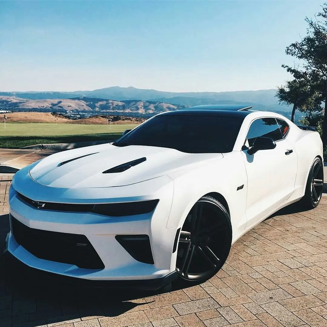 camaro blanco y ferrari - Cuál es el significado de Camaro