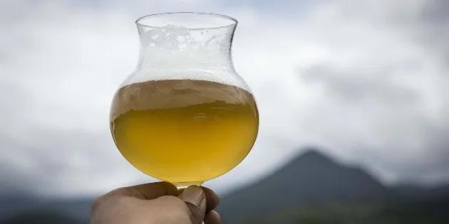 Cerveza Berlina Hermanos Ferrari: Una fusión de tradición y sabor - Cuál es la cerveza más cara del mundo cerveza berlina hermanos ferrari - Cuál es la cerveza más cara del mundo