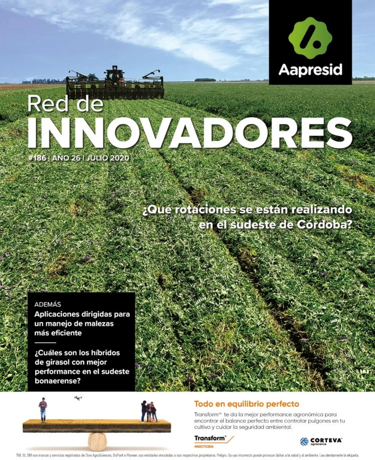 antecesor para pasturas hernan ferrari - Cuáles son los verdeos de verano