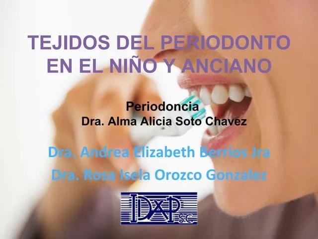 Periodonto de Inserción Gómez de Ferraris - Dónde se insertan las fibras periodontales periodonto de insercion gomez de ferraris - Dónde se insertan las fibras periodontales