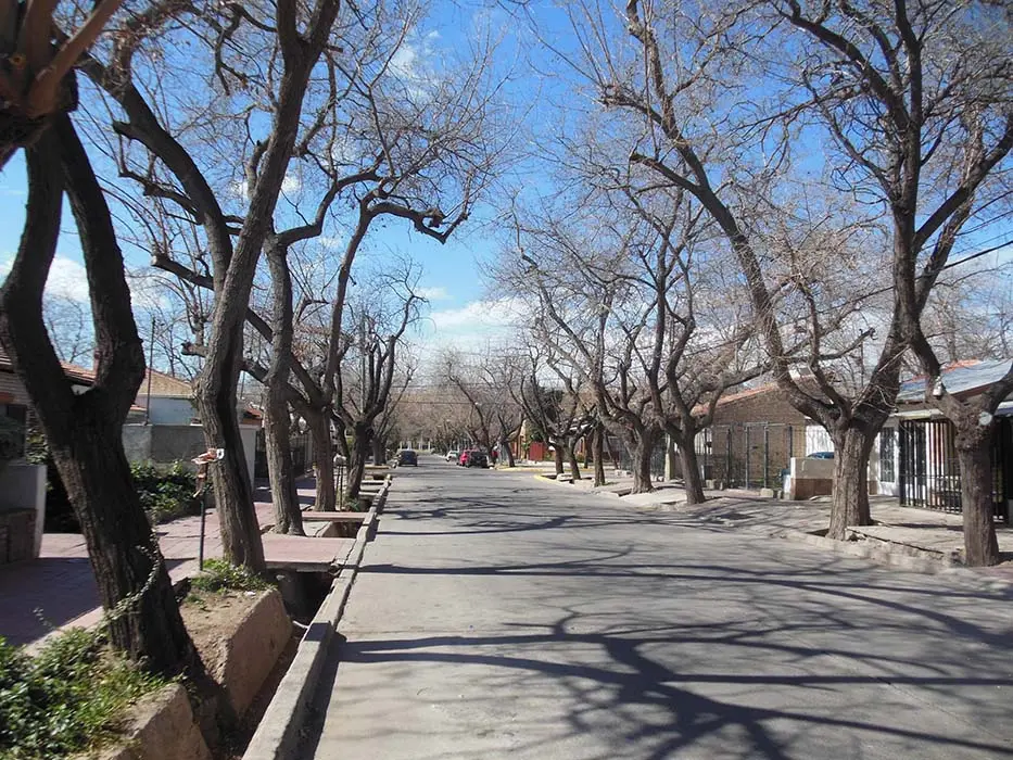 calle ferrari y los cardos mendoza godoy cruz - Qué colectivo me deja en el Shopping de Mendoza