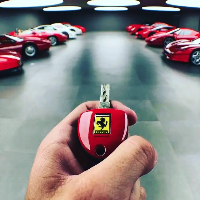 distribucion exclusiva ferrari - Qué es la distribución exclusiva