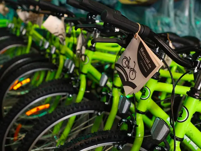 bicicletas paraguay ciudad del este casa ferrari - Qué rodado son las bicicletas del gobierno de la ciudad